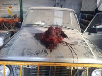 Detenidas tres personas por robar en una parcela de Yepes (Toledo) y matar un jabalí utilizando picos y hachas