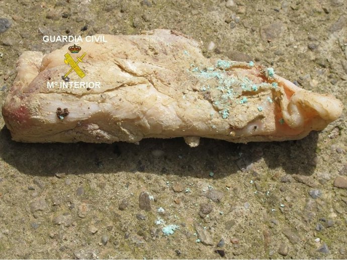 Cebo Envenenado Descubierto Por La Guardia Civil.