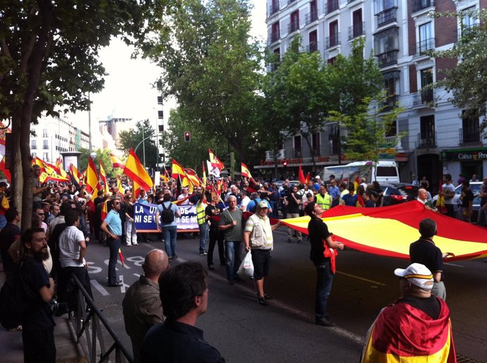 Manifestación De La Ultraderecha En Madrid
