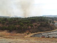 Continúa en Nerva la lucha contra el fuego y se espera que quede controlado una vez amaine el viento
