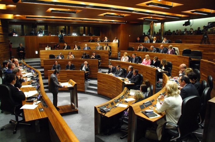 Fernández Interviene Ante El Pleno De La Cámara