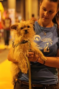 La Reina Doña Sofía adopta a 'Pepita', una perra abandonada, en la feria de animales de compañía