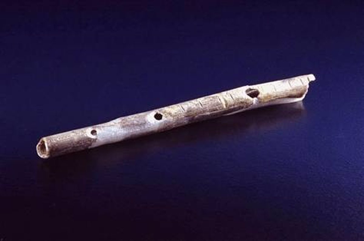 Copiar elevación fenómeno Descubren el instrumento musical más antiguo, una flauta que tiene 43.000  años