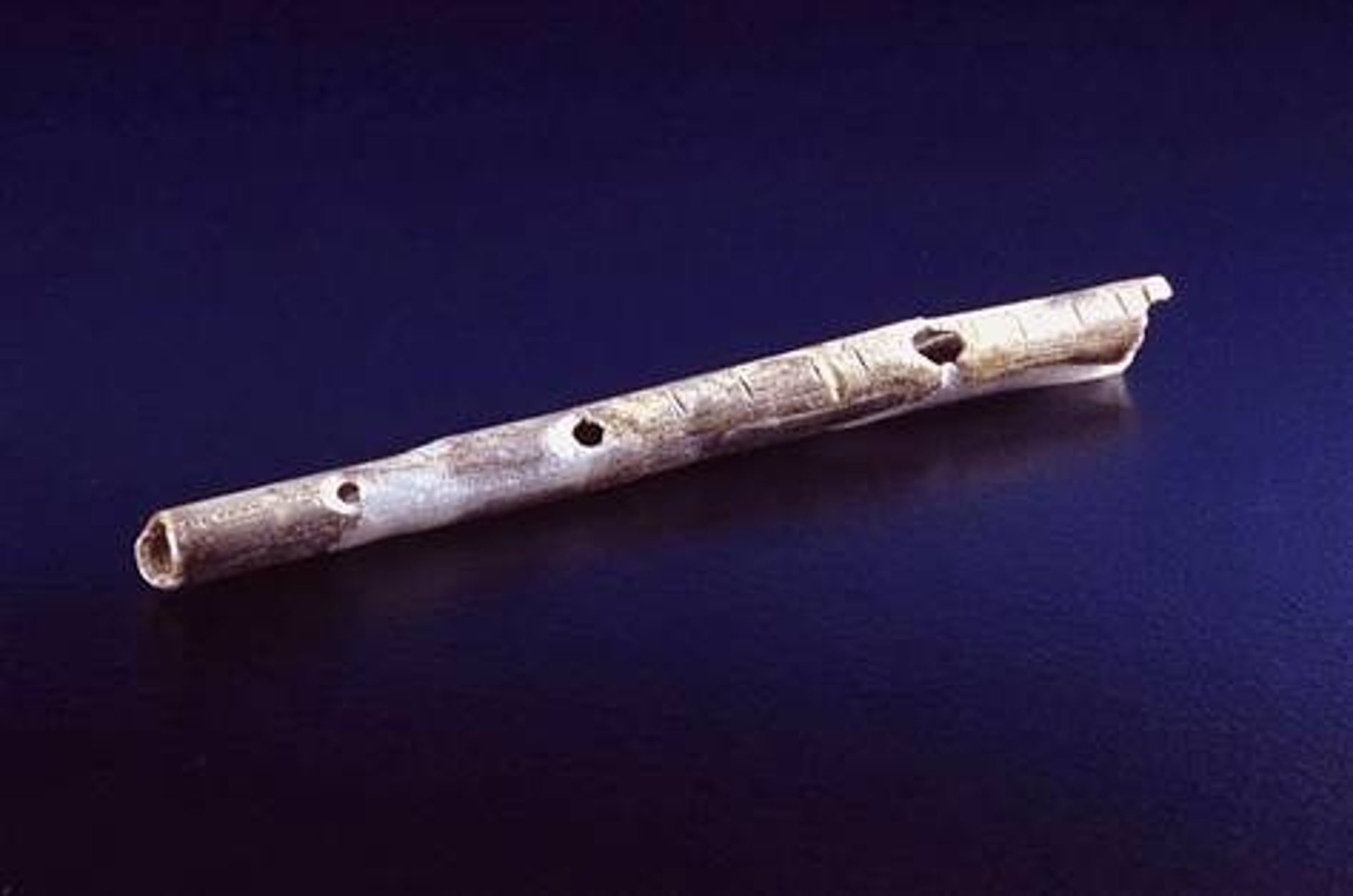 Descubren el instrumento musical más antiguo, una flauta que tiene 43.
