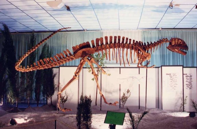 Esqueleto De Dinosaurio Exposición Dinopétrea En Málaga