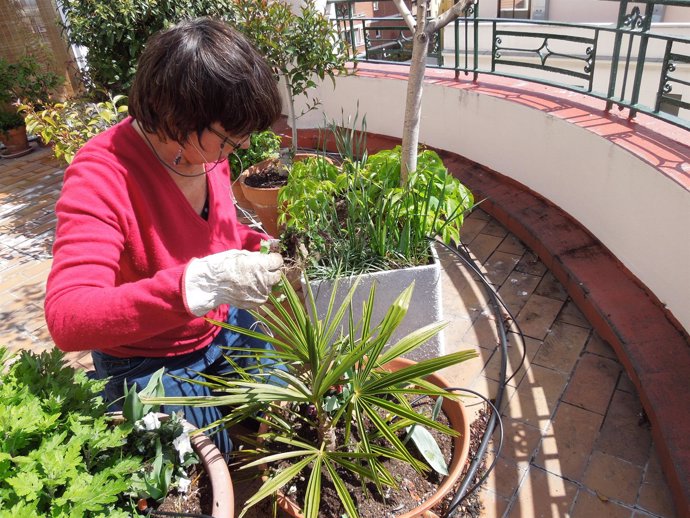 Una mujer trabaja en su jardín