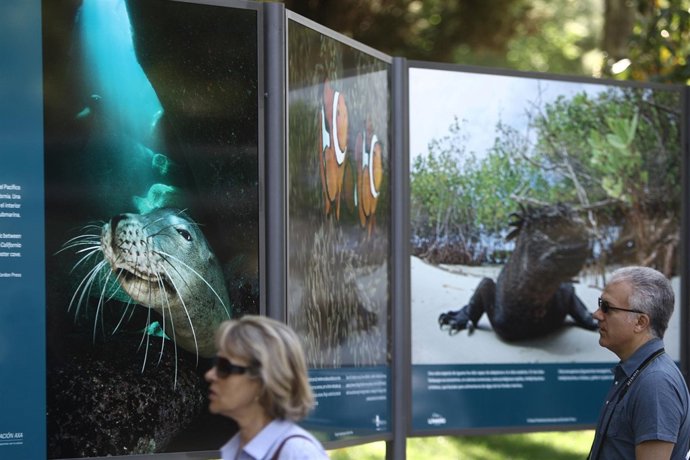 Exposición 'Mundo Submarino'