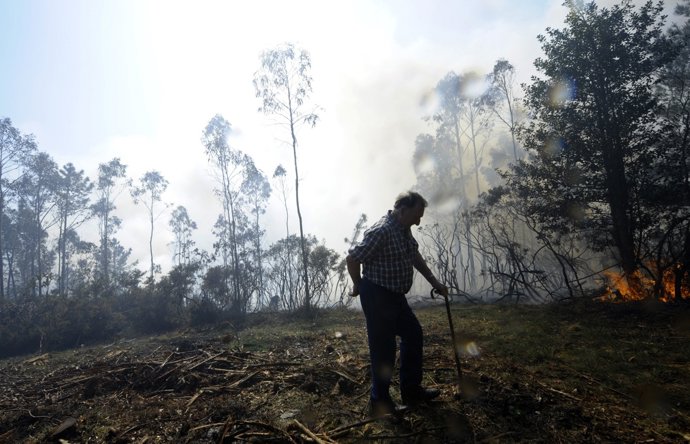 Incendio En Fragas Do Eume