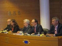 Economía/Finanzas.- Una exconsejera de la CAM dice que se sintió "engañada" por los directivos de la caja