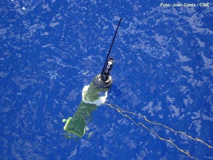 Imagen De Un Perfilador Del Programa Argo En El Que España Participa