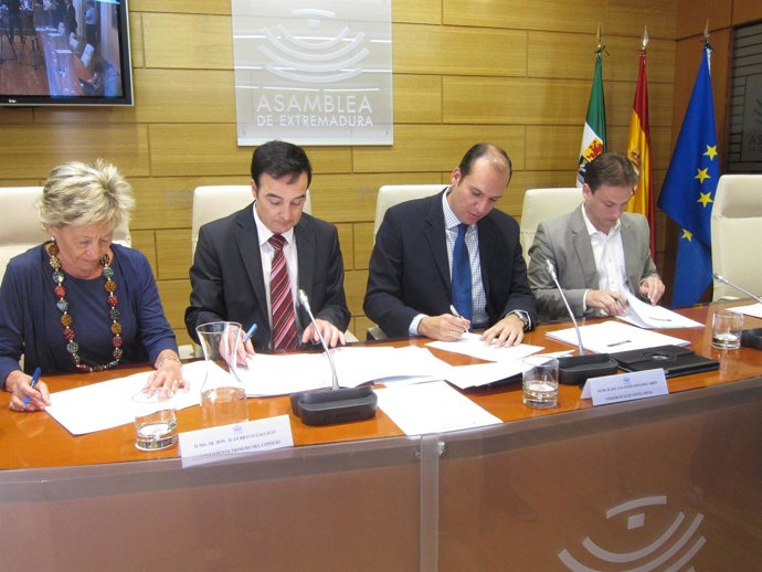 Consejo Extremeño Del Voluntariado