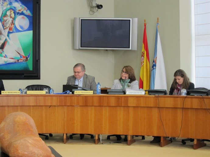 Comisión De Economía 29 De Mayo 2012