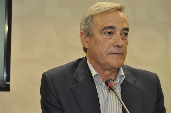 El Portavoz Del PSOE, Javier Sada