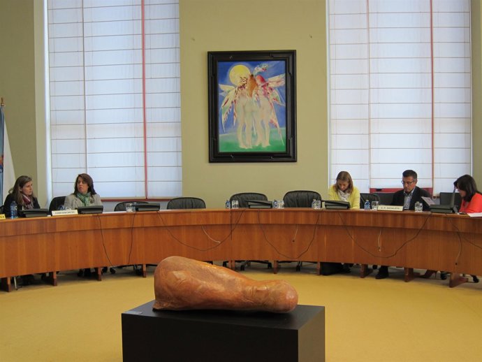 Comision Caride+Chacon