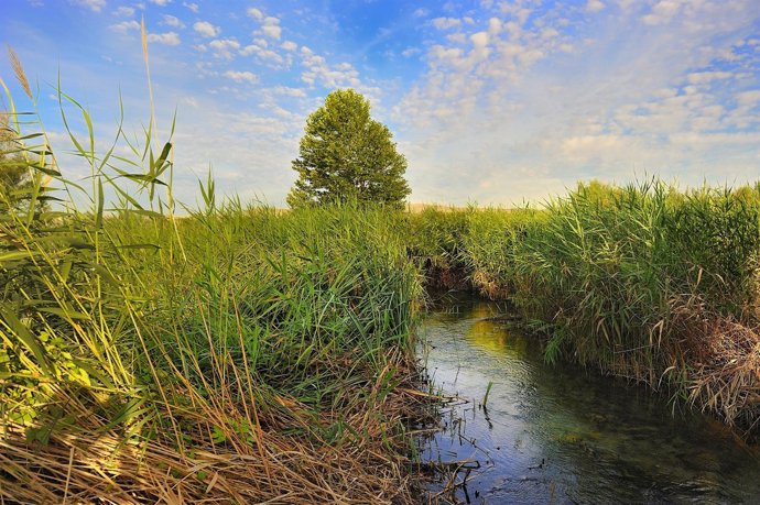 El Paraje De Los Ojos De Pontil, En Rueda De Jalón (Zaragoza)