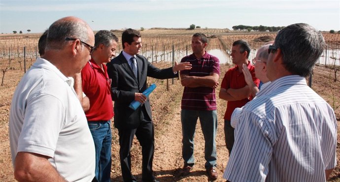 Cuenca En Zonas Afectadas Por Pedrisco