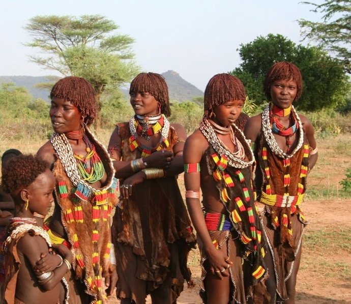 Perdidos En La Tribu