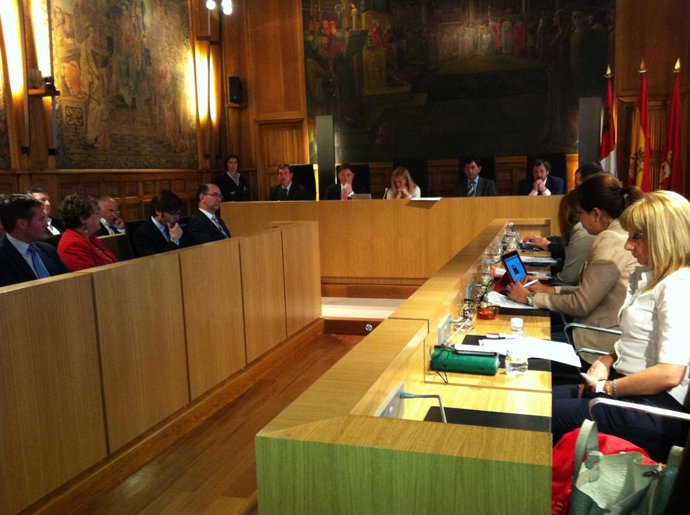 Pleno De La Diputación De León