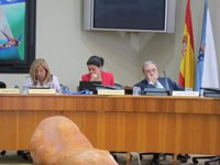 Sánchez Izquierdo no ve "subterfugio" legal para privatizar la CRTVG y confía en la voluntad política de que sea pública