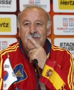 Vicente Del Bosque Entrenamiento Seleccion Española Futbol