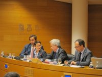 Una exconsejera de la CAM señala la dificultad de conocer el balance de la caja