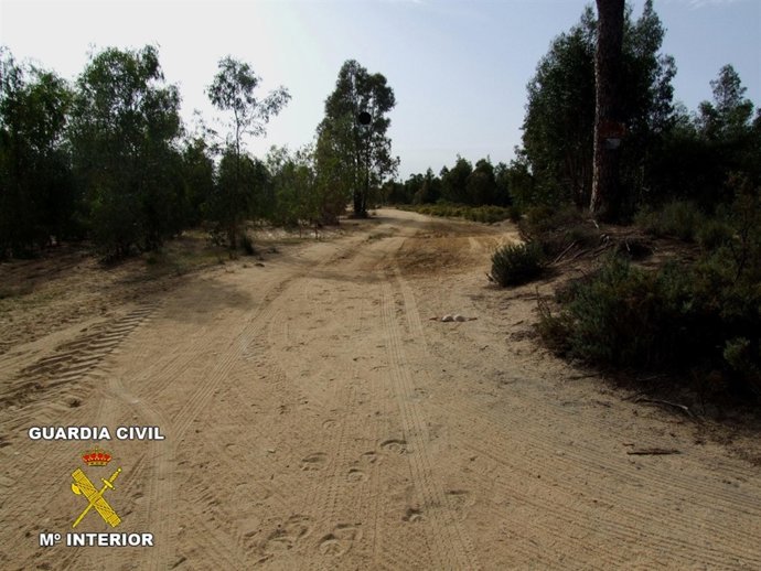 Agresión Sexual En Un Paraje De Almonte.