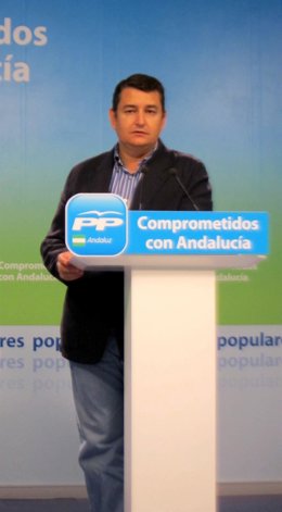 El Secretario General Del PP-A, Antonio Sanz, Hoy En Rueda De Prensa