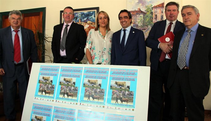 Presentación Del Concurso 