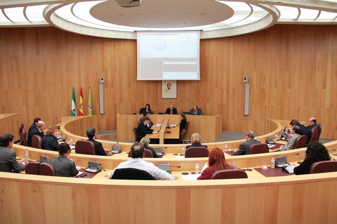 Pleno De La Diputación De Granada