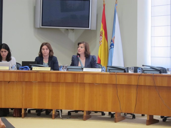 Susana López Abella En La Comisión De Sanidade