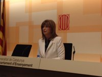 Cataluña recurrirá al Supremo la obligación de escolarizar en castellano a varios niños