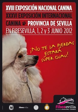 Exposición Nacional E Internacional Canina En Fibes