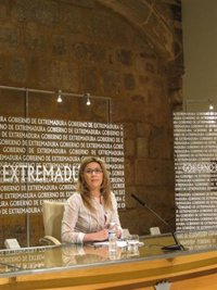 Teniente asegura que al Gobierno de Extremadura le "avergüenza" que Vara "se ponga el disfraz de la pancarta"