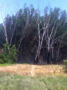 Incendio En El Terminillo Cuenca