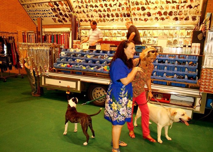 Encuentro Canino Nacional E Internacional En Sevilla