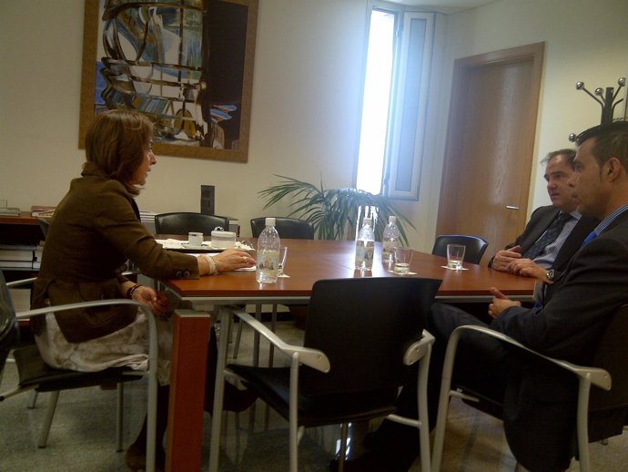 Gas Natural Fenosa Presenta A La Consejera De Industria Sus Propuestas