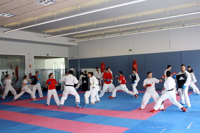 Federación Española De Karate 