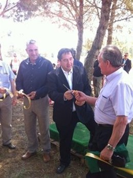 Pelegrí Tavella Viver De Bell-Lloc