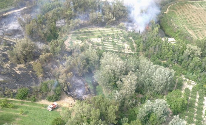 Incendio Declarado En Corella.