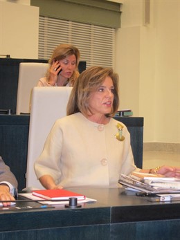Ana Botella En El Pleno Del Ayuntamiento De Madrid