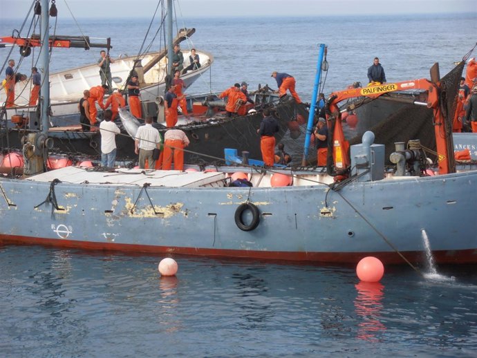 Almadraba De Los Lances