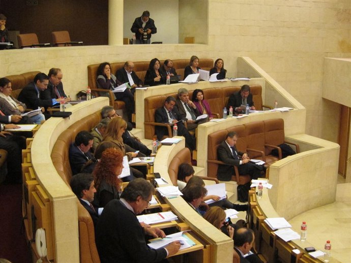 Pleno Del Parlamento