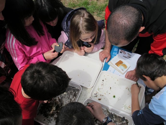 Alumnos Que Participan En El Programa