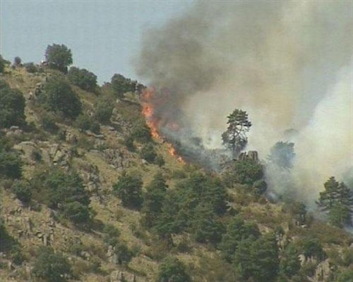 Incendio Forestal