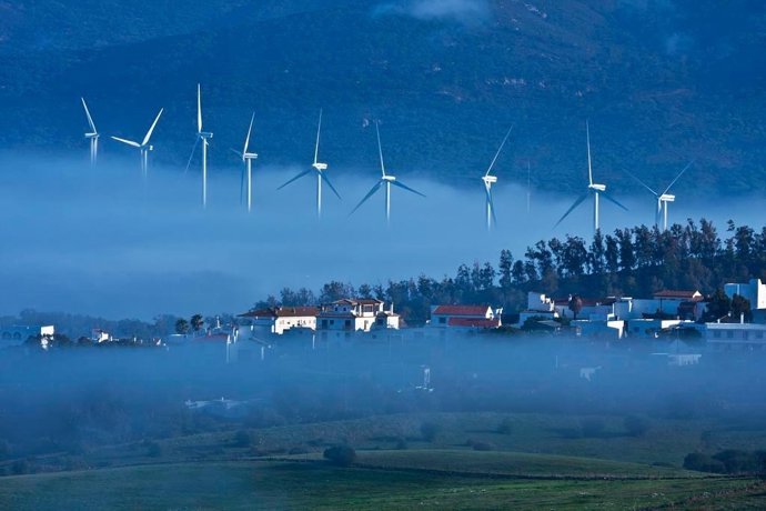 Primer Premio Del Concurso Fotográfico 'Día Mundial Del Medio Ambiente'