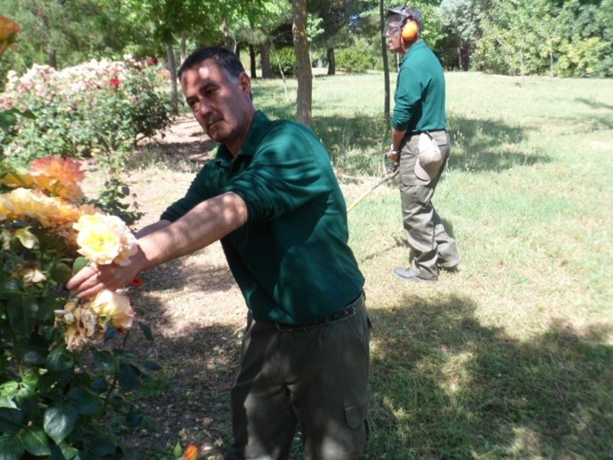 Internos Centro Penitenciario De Cáceres