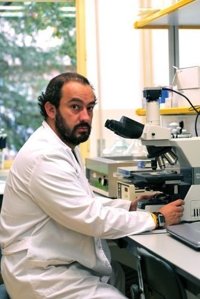 Junta: Fue el PSOE quien "hirió de muerte" a la investigación