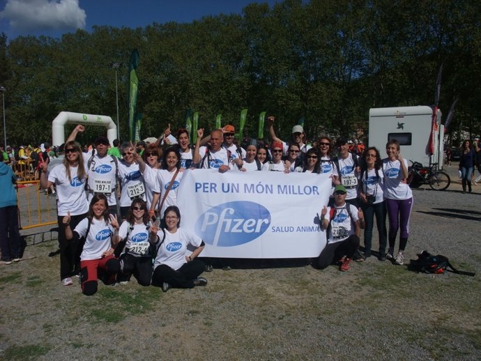 Pfizer Salud Animal