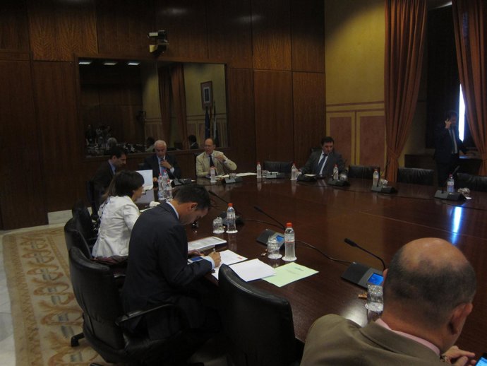 Primera Comisión De Cultura De Luciano Alonso Como Consejero