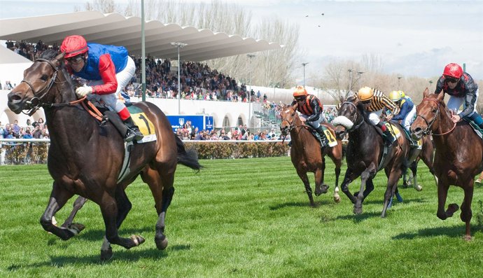Abdel En El Turf De La Zarzuela